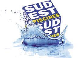 Sud Est Piscines, votre pisciniste pour entretien, équipements et création de bassin sur mesure